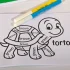 Colorea la tortuga en inglés
